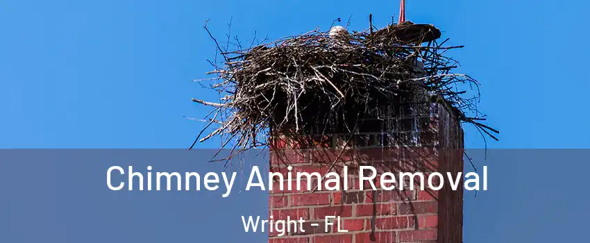  Chimney Animal Removal Wright - FL