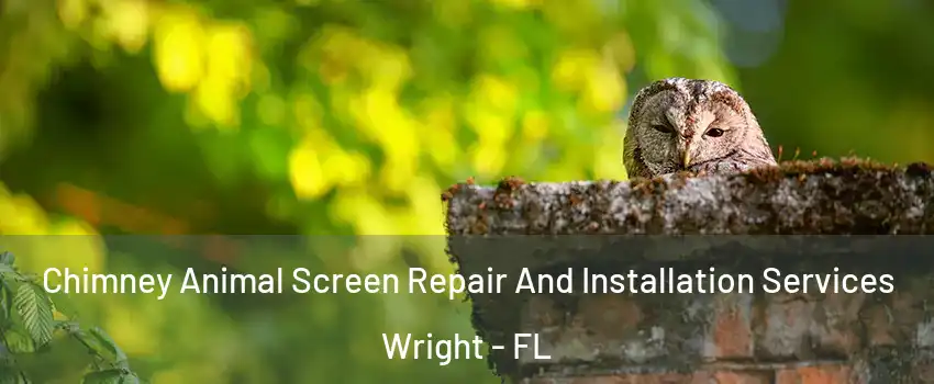  Chimney Animal Screen Repair And Installation Services Wright - FL