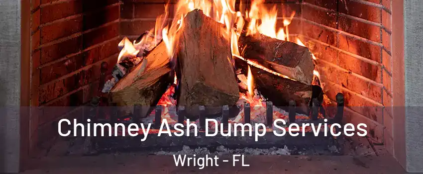  Chimney Ash Dump Services Wright - FL