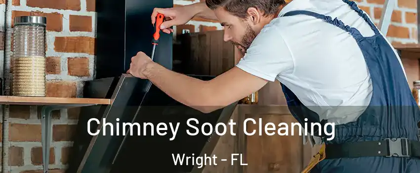  Chimney Soot Cleaning Wright - FL
