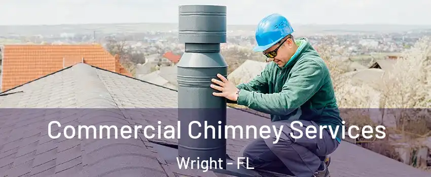  Commercial Chimney Services Wright - FL