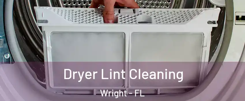  Dryer Lint Cleaning Wright - FL
