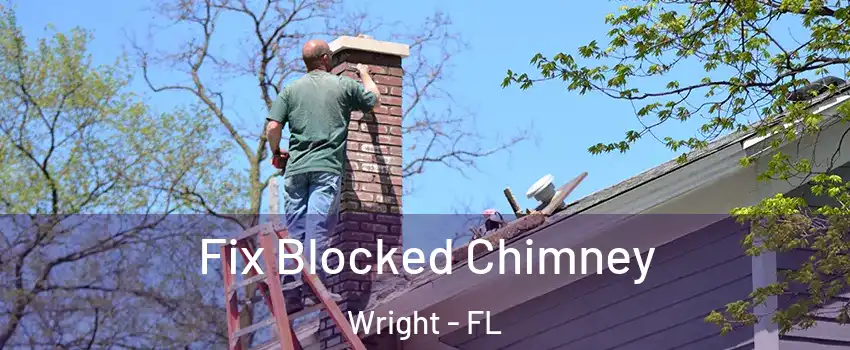  Fix Blocked Chimney Wright - FL
