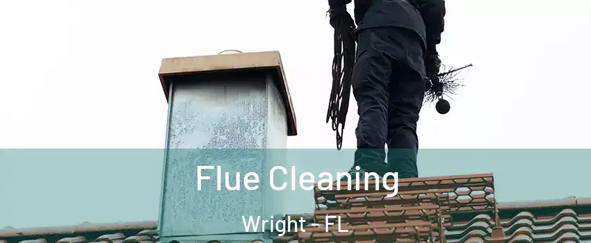  Flue Cleaning Wright - FL