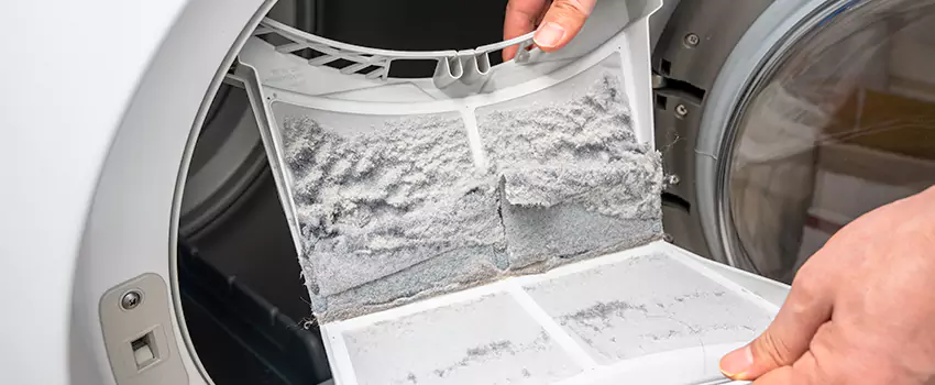 Best Dryer Lint Removal Company in Wright, Florida
