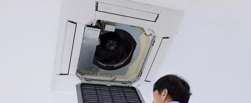 Benefits of Professional Air Duct Cleaning in Wright, Florida