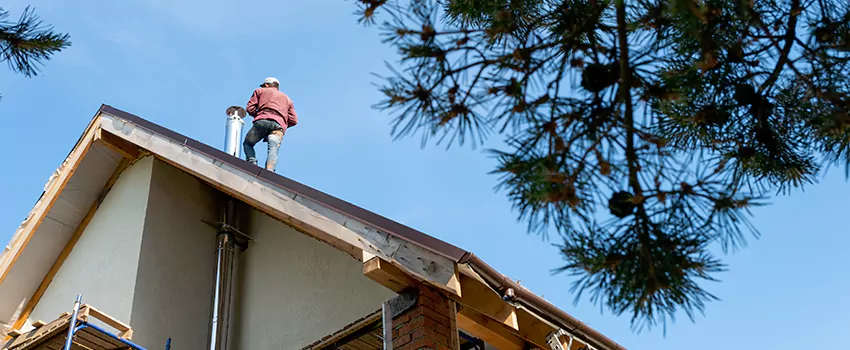 Birds Removal Contractors from Chimney in Wright, FL